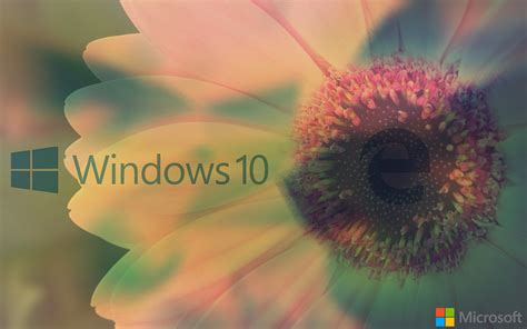 Image result for Windows 10 MS-DOS