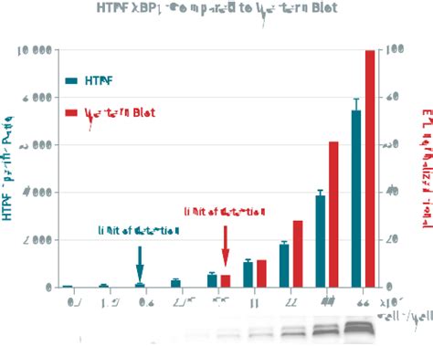 HTRF Human XBP1s Detection Kit, 500 Assay Points | Revvity