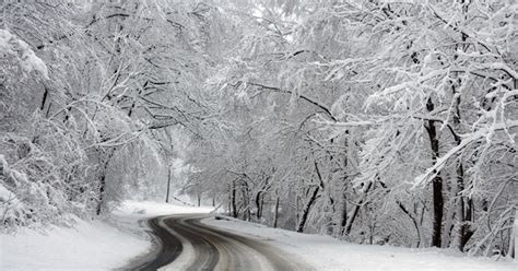 Schneeglätte: Linien-Bus rutscht bei Bernhardswald gegen Linien-Bus ...