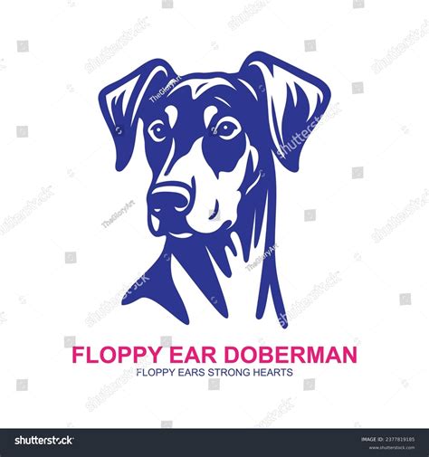 Floppy Ear Doberman Stock Photos - 3 Images | Shutterstock