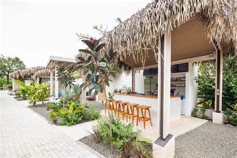 THE GILDED IGUANA SURF CLUB (2026) All You Need to Know BEFORE You Go ...