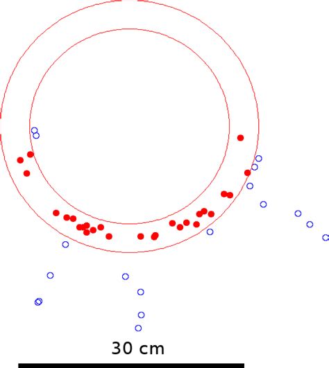 Tree Stem and Height Measurements using Terrestrial Laser Scanning and ...