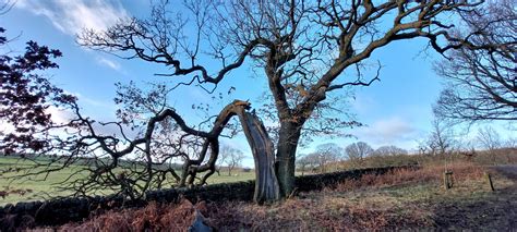 How to Install and Code in Oracle SQL 的图像结果