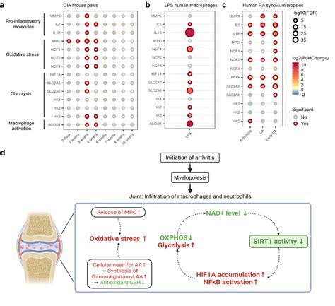 Image result for Gene Expression Reprogramming