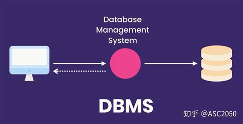 DBMS Command 的图像结果
