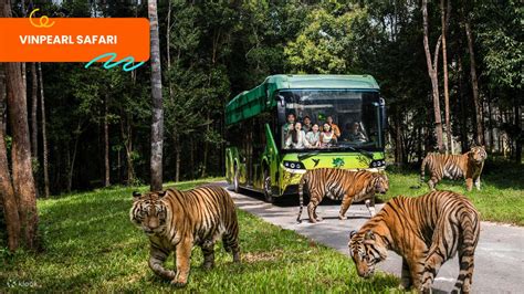 Phu Quoc Passport: All-in-One Travel Pass - Klook India