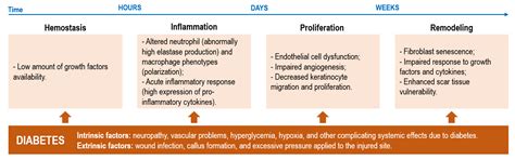 Emerging Antimicrobial and Immunomodulatory Fiber-Based Scaffolding ...