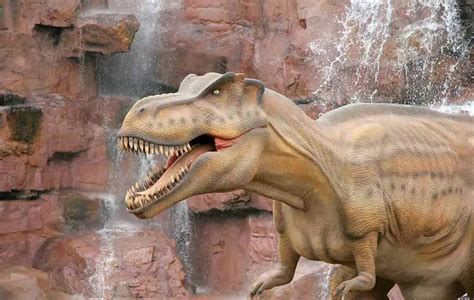 世界上唯一一只恐龙，可能只是非洲森林象(形态相似) — 探灵网