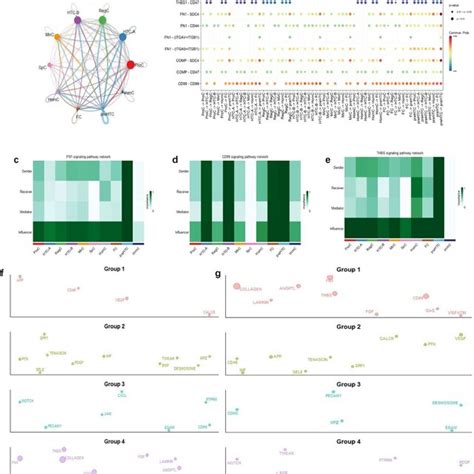 Cell-Cell Interaction 的图像结果