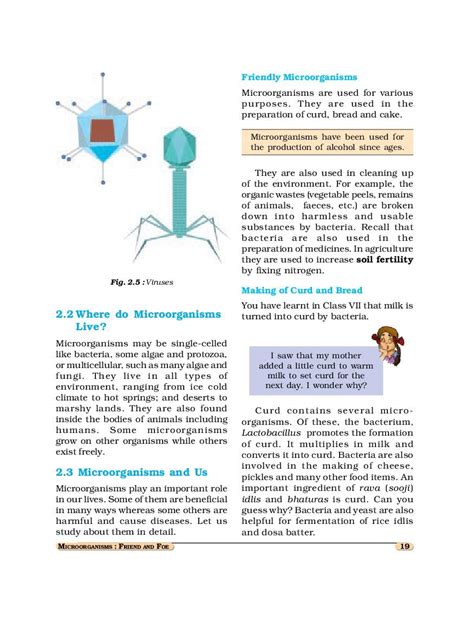 Image result for Class 8 Science Chapter 2 Summary NCERT