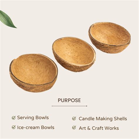 Timeless Design & Sustainable Lifestyle Shopping – Brown Living™