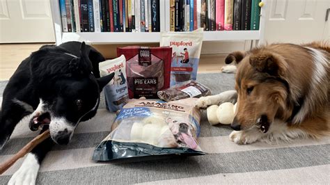 The Best (and Safest) Chew Bones for Dogs - Whole Dog Journal