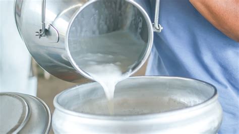 Should You Drink Raw Milk?: Benefits, Risks, and Regulations - The Ingredient Guru, Mira Dessy