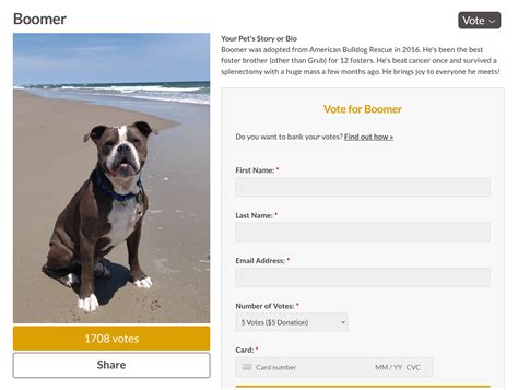 Image result for Go Go Contest