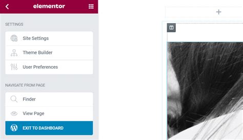 Image result for Using CSS in WP Elementor