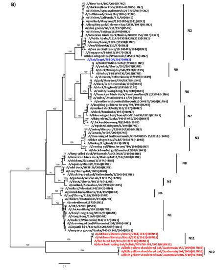 Viruses | Special Issue : Influenza Viruses in Wildlife
