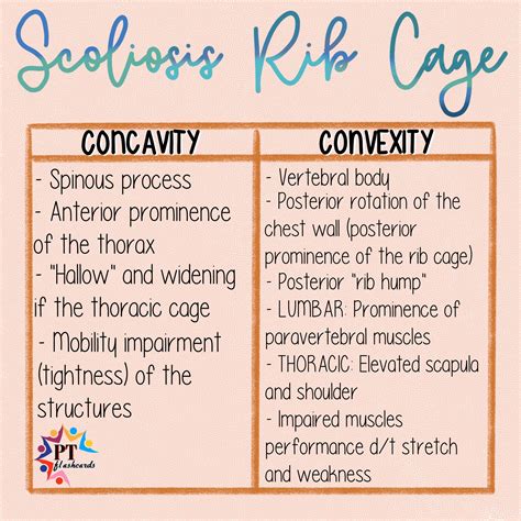 Concave Vs Convex Scoliosis
