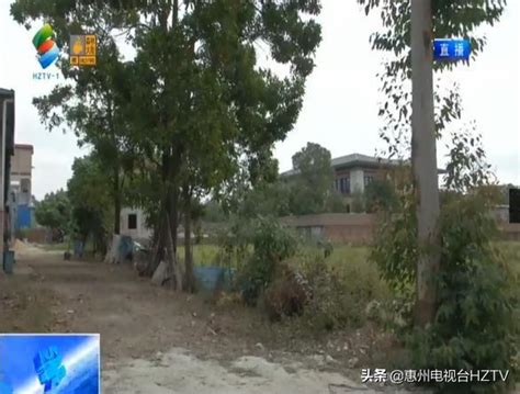 惠州：潼湖赤崗村村民「占」村道建房 - 每日頭條