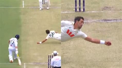 Flying Starc! Australia Pacer Pulls Off One-Handed Catch As Zak Crawley ...