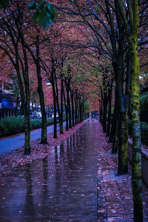 Beautiful Rainy Day Wallpaper 22 Beautiful Rain Wallpaper Ideas | Rain