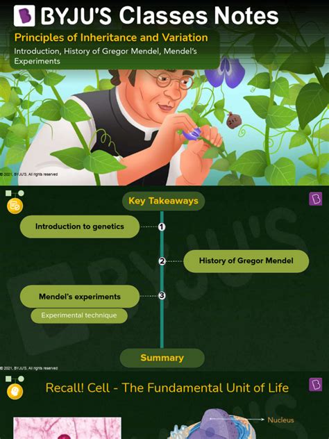 Image result for Learnohub Class 12 Principles of Inheritance