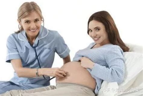 试管婴儿着床后多久能有胎心呢？ - 知乎