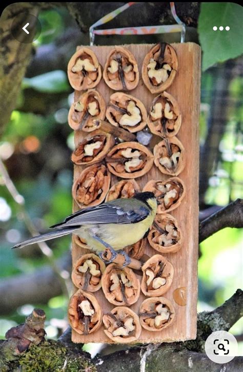 Handmade Bird Feeders