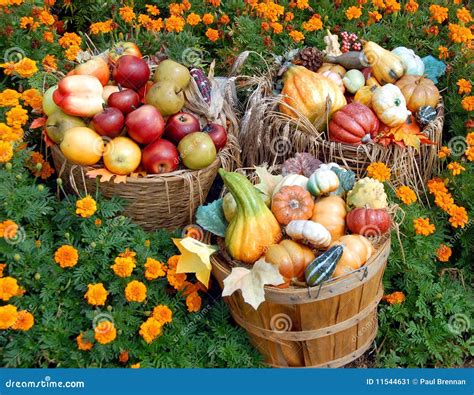 Flowers For Fall Vegetable Garden at John Remaley blog