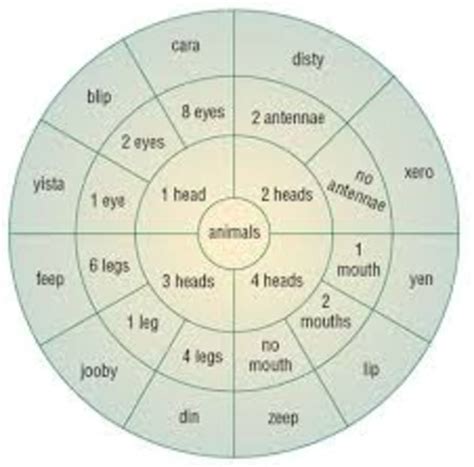 Classification Key for Kids 的图像结果