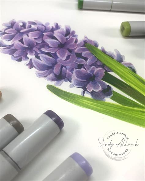 Image result for How to Draw Inflorescences