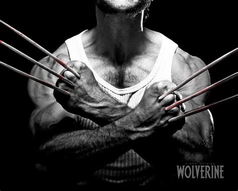 Image result for Wolverine Claws Side View