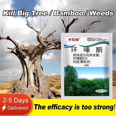 Chemical to Kill big tree roots and bamboo Effective weed control Removing big trees and bamboo ...