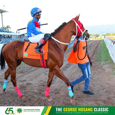 Caymanas Park Racing | Horse Racing Track (@caymanasracing) • Instagram ...