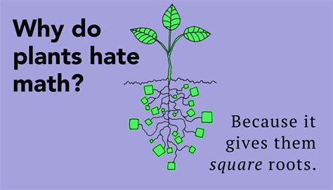55 hilarious math jokes to cause smiles – Artofit