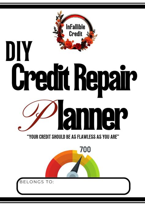 DIY Credit Repair Planner - Etsy