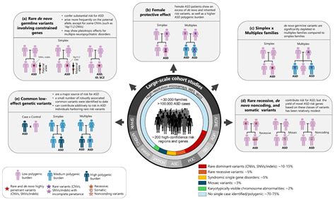 The Importance of Large-Scale Genomic Studies to Unravel Genetic Risk ...