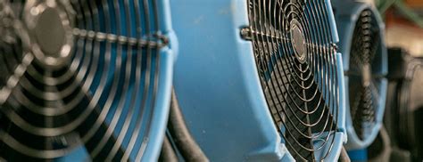 Image result for Structural Drier