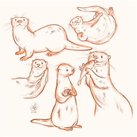 Pin by Lindsey Hurst on Let’s Draw | Otter illustration, Animal drawings sketches, Otter drawing