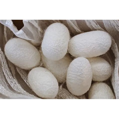 BIM objects - Free download! Fabric with Phoenix tail feathers design ...