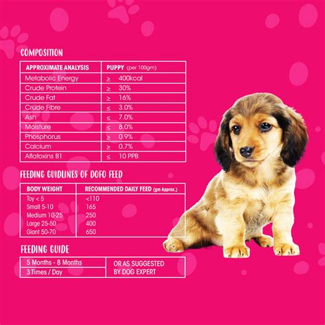 DoFo - Tailored Food for Every Furry Friend