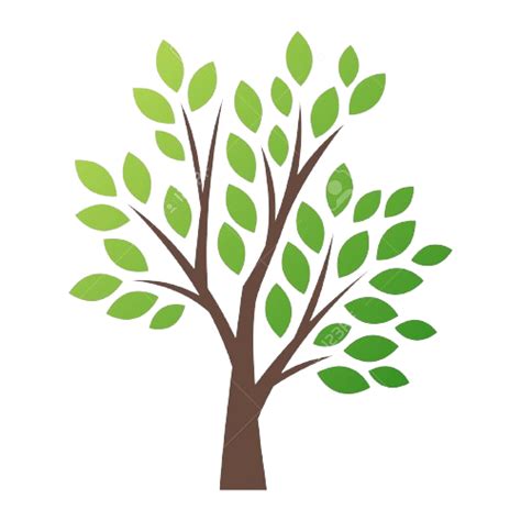 Eco Club: BHS
