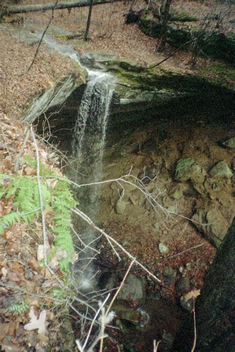 Horseback Rides-Riding-Hocking Hills Ohio