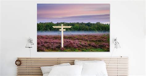 Purple heather with signpost and morning mist on the Utrecht Hill Ridge ...