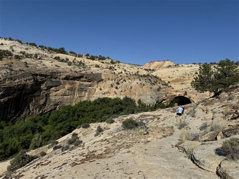 Upper Calf Creek Falls | Escalante - Utah's Adventure Family