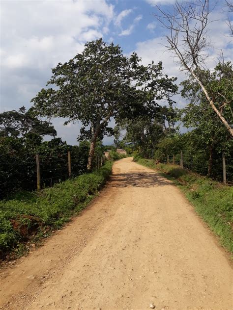 Acevedo | Red Huila. Negocios, Turismo, Gastronomía y algo más...