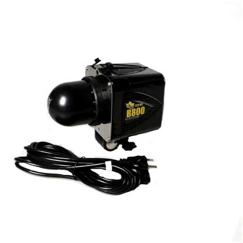 Image result for Alien B Paul Buff Lighting