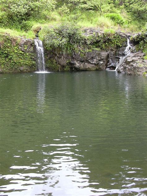 Stream Pool Matches 的图像结果