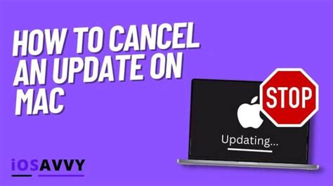 Image result for Remove Apple Update