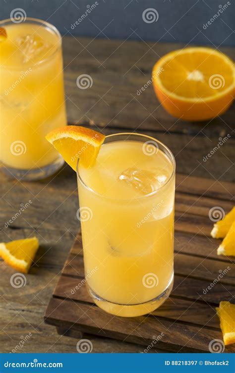 Homemade Alcoholic Gin and Juice Cocktail Stock Image - Image of ...