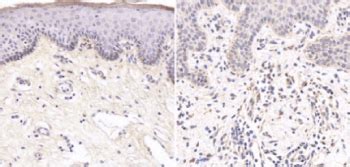 Biomolecules and Biomedicine